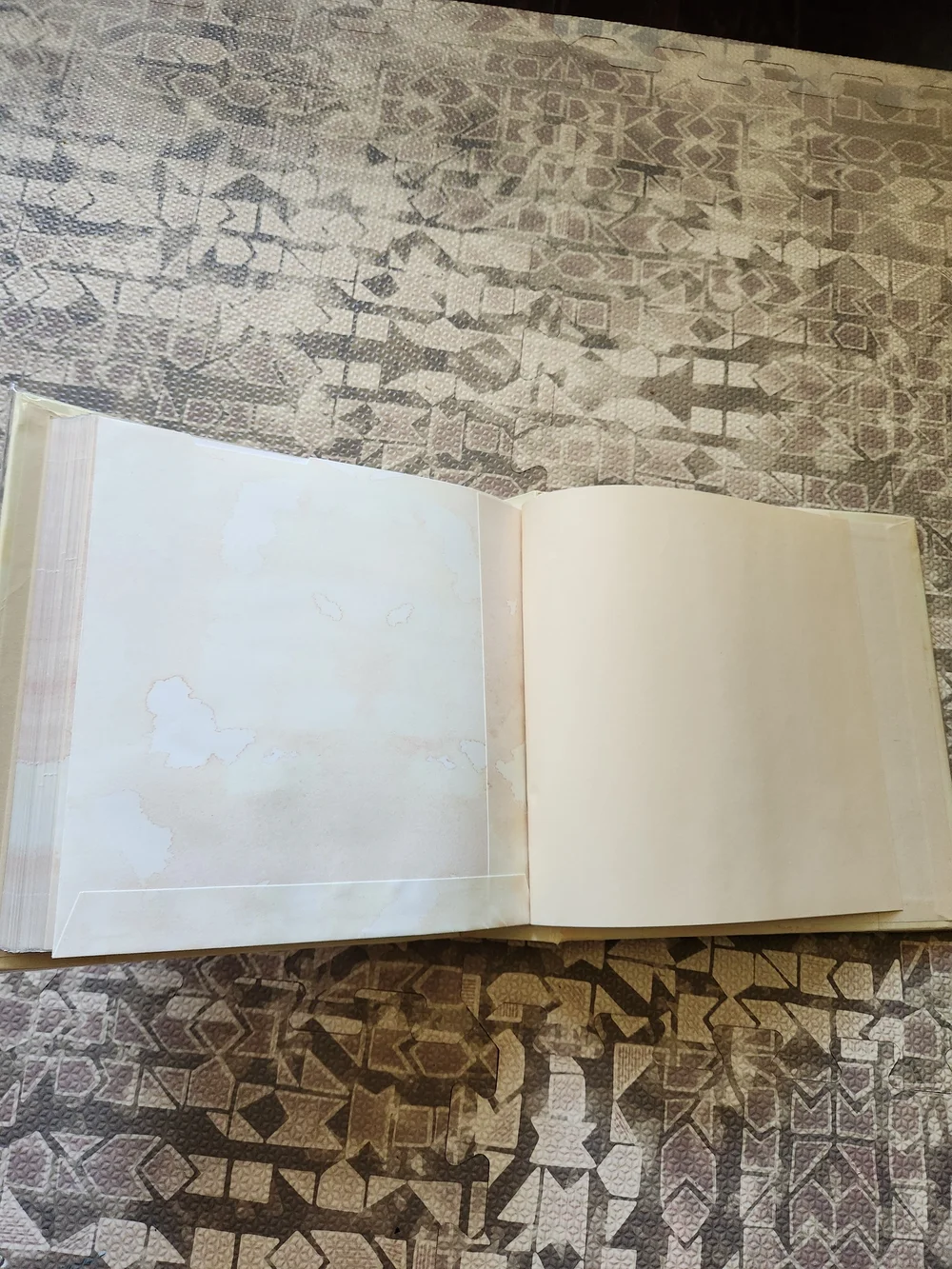NWOB Anne Geddis Photo Album with Negative Pocket